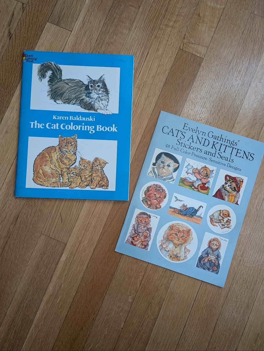 1980s 'The Cat Coloring Book' PLUS Cat/Kittens Stickers & Seals. Not Used.